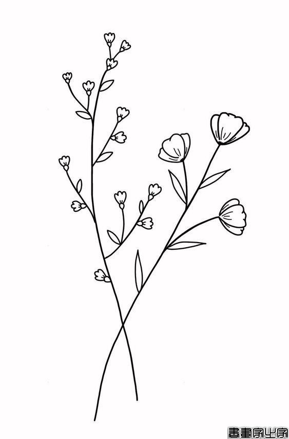 〖简笔速写〗简笔画，素描-4.jpg