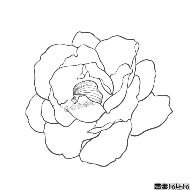手把手教你画简笔画，干货满满，3款花卉任你选-9.jpg