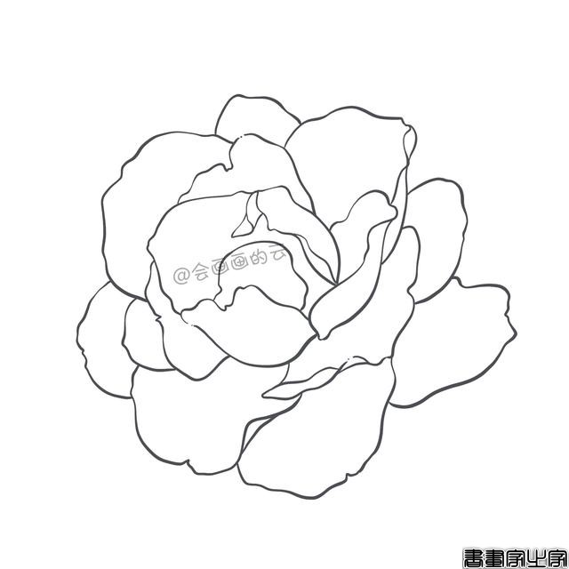 手把手教你画简笔画，干货满满，3款花卉任你选-8.jpg