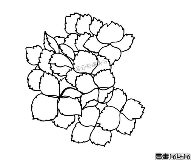 零基础的小白也可以画的简笔画，教你用1支笔画一簇花-5.jpg