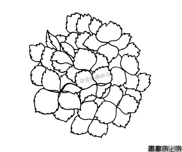 零基础的小白也可以画的简笔画，教你用1支笔画一簇花-6.jpg