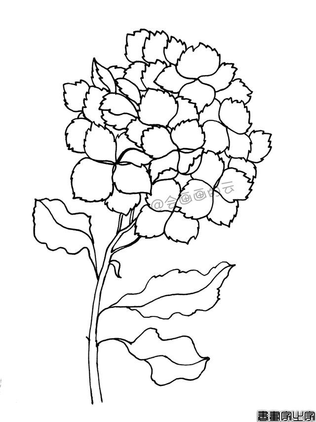 零基础的小白也可以画的简笔画，教你用1支笔画一簇花-7.jpg