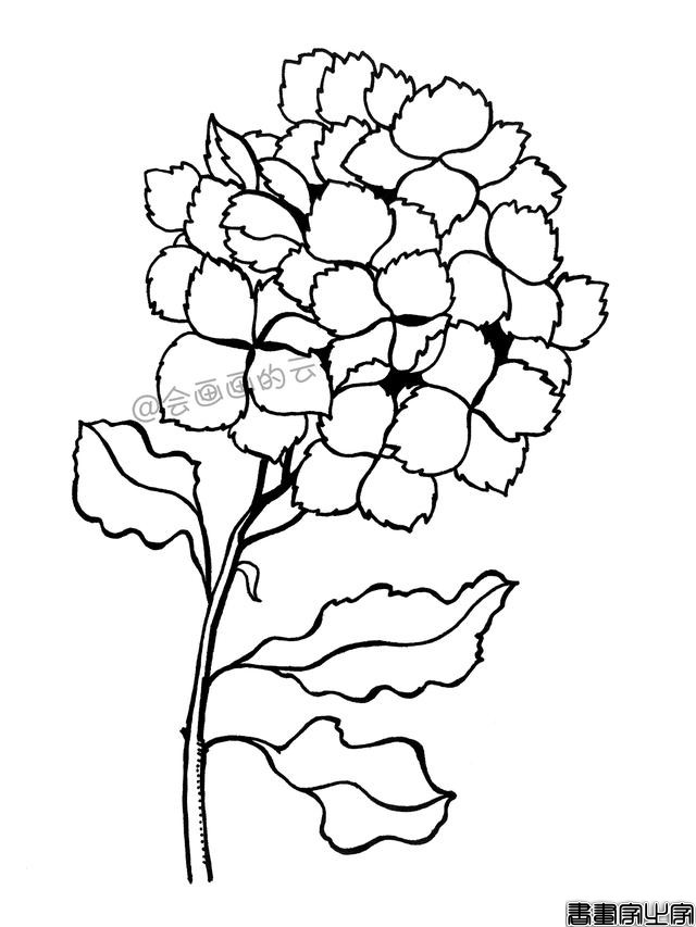零基础的小白也可以画的简笔画，教你用1支笔画一簇花-8.jpg