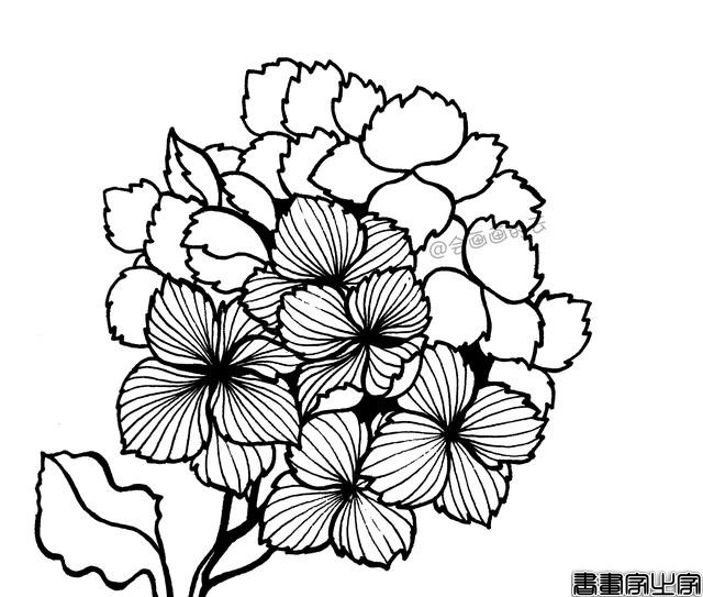 零基础的小白也可以画的简笔画，教你用1支笔画一簇花-10.jpg