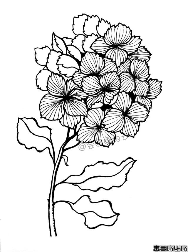 零基础的小白也可以画的简笔画，教你用1支笔画一簇花-11.jpg