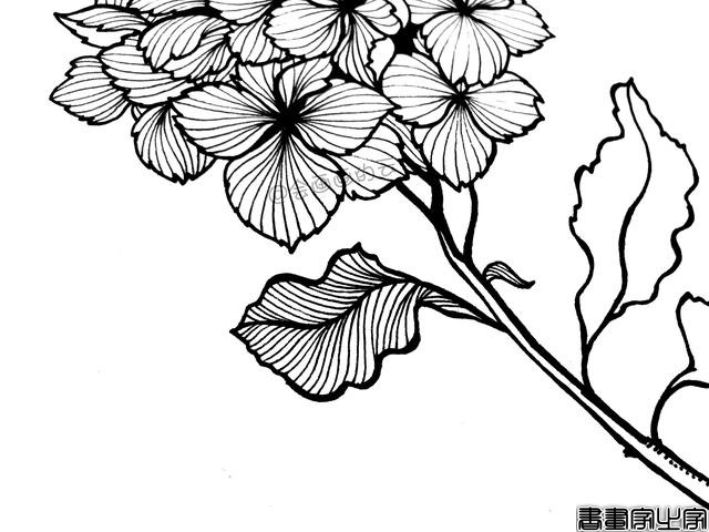 零基础的小白也可以画的简笔画，教你用1支笔画一簇花-14.jpg
