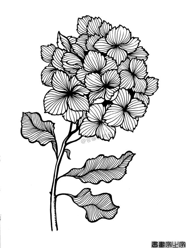 零基础的小白也可以画的简笔画，教你用1支笔画一簇花-16.jpg