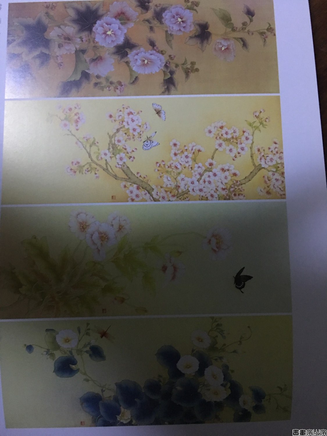 56db438b8984ecca0b7ad0cad94871d1.jpg
