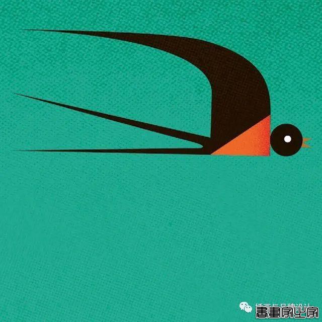 插画丨带你领略丝丝入扣的视觉之旅，多彩的形状简单有趣的造型-57.jpg