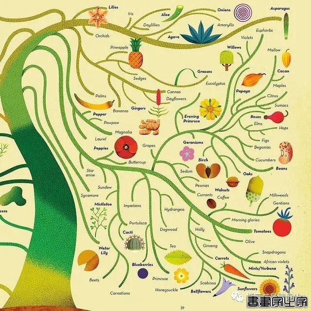 插画丨带你领略丝丝入扣的视觉之旅，多彩的形状简单有趣的造型-67.jpg