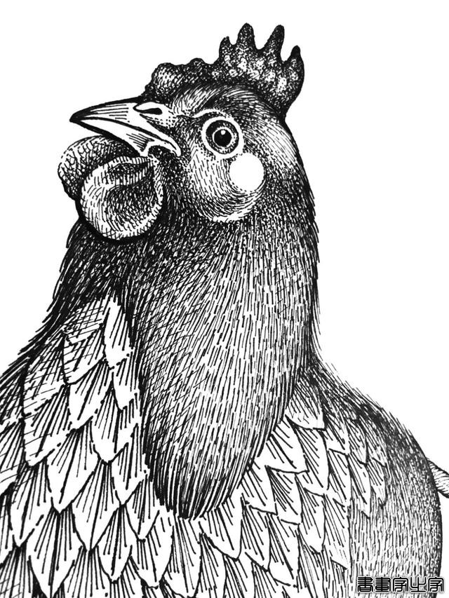 黑白插画也很有品 火锅品牌与插画创意视觉-4.jpg