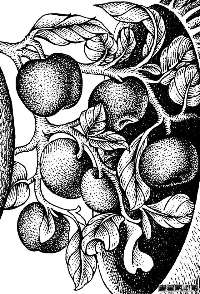 黑白插画也很有品 火锅品牌与插画创意视觉-5.jpg