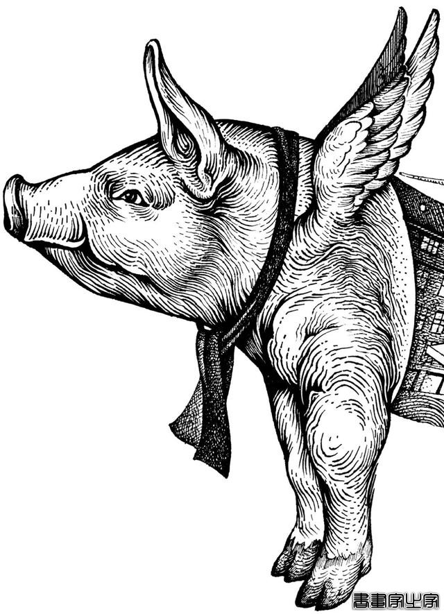 黑白插画也很有品 火锅品牌与插画创意视觉-7.jpg