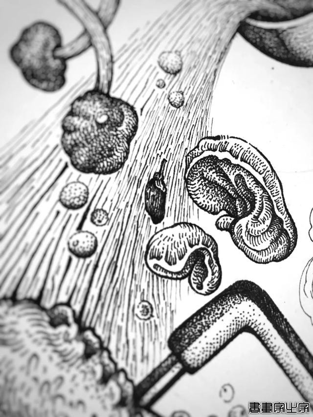 黑白插画也很有品 火锅品牌与插画创意视觉-11.jpg