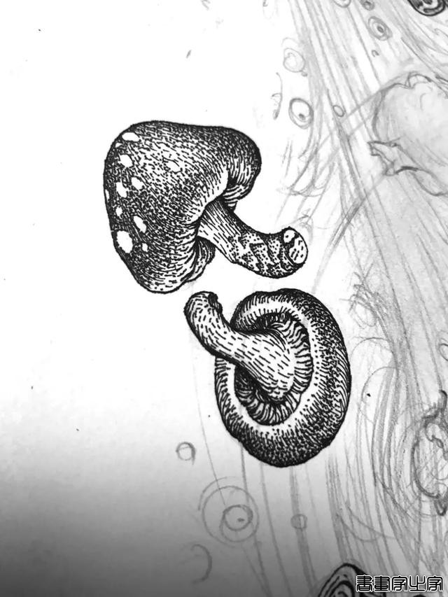 黑白插画也很有品 火锅品牌与插画创意视觉-15.jpg