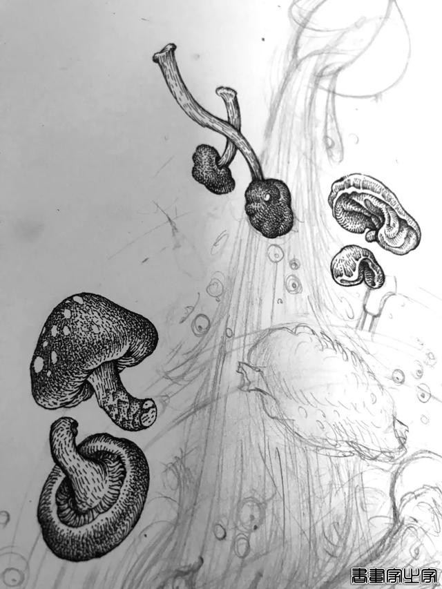 黑白插画也很有品 火锅品牌与插画创意视觉-14.jpg