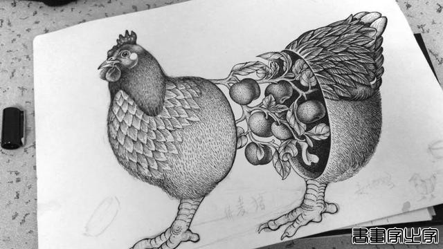 黑白插画也很有品 火锅品牌与插画创意视觉-24.jpg