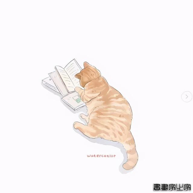 正经“猫片”，笑到喷饭，插画师笔下的猫咪迷惑行为，憨憨的-13.jpg