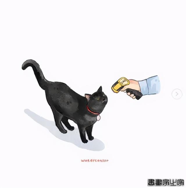 正经“猫片”，笑到喷饭，插画师笔下的猫咪迷惑行为，憨憨的-11.jpg