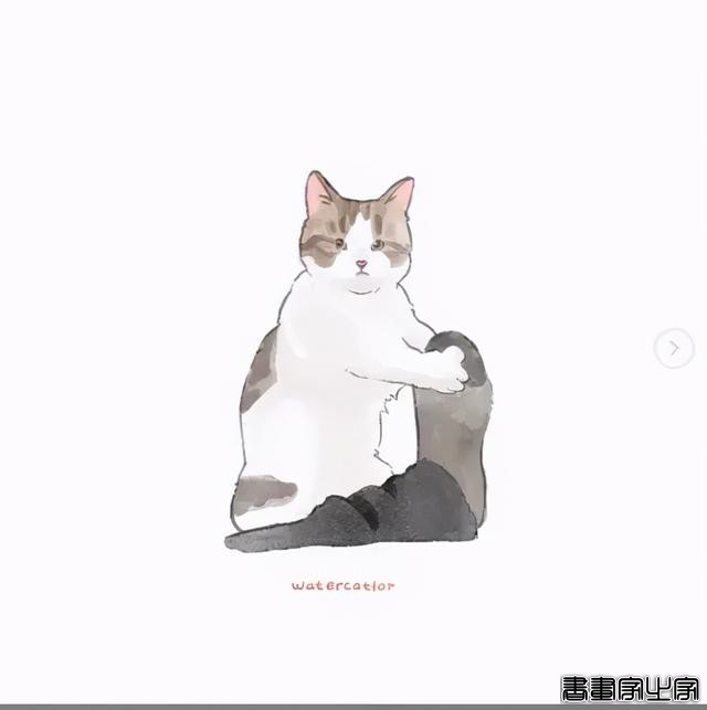 正经“猫片”，笑到喷饭，插画师笔下的猫咪迷惑行为，憨憨的-15.jpg