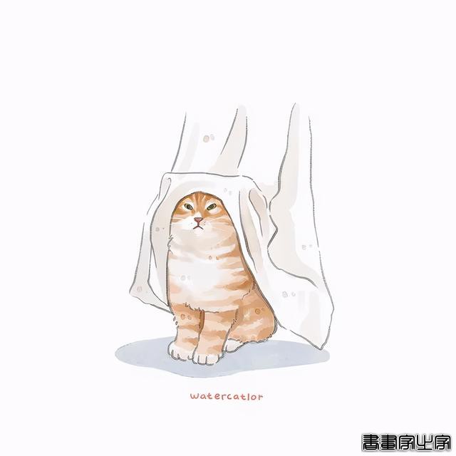 正经“猫片”，笑到喷饭，插画师笔下的猫咪迷惑行为，憨憨的-18.jpg