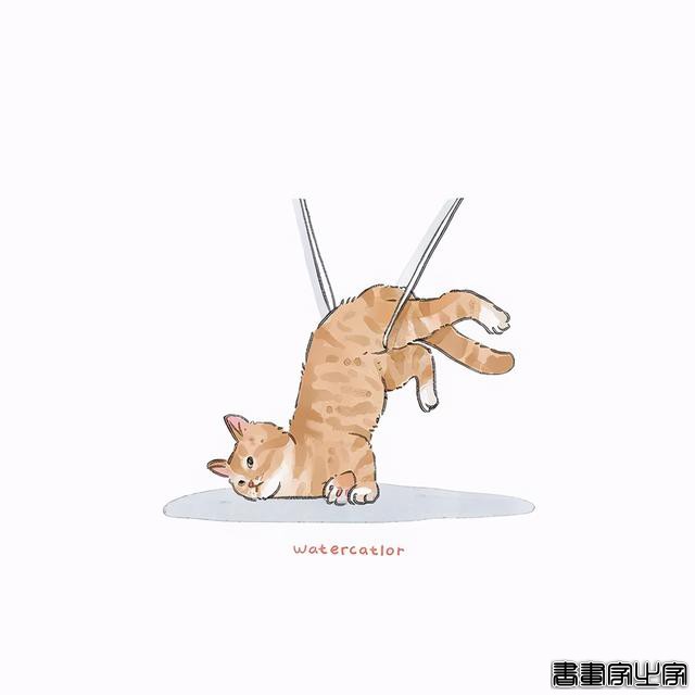 正经“猫片”，笑到喷饭，插画师笔下的猫咪迷惑行为，憨憨的-20.jpg