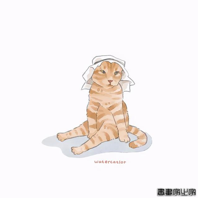 正经“猫片”，笑到喷饭，插画师笔下的猫咪迷惑行为，憨憨的-22.jpg