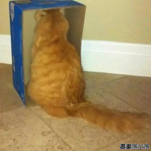 正经“猫片”，笑到喷饭，插画师笔下的猫咪迷惑行为，憨憨的-27.jpg