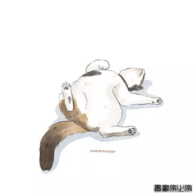 正经“猫片”，笑到喷饭，插画师笔下的猫咪迷惑行为，憨憨的-32.jpg