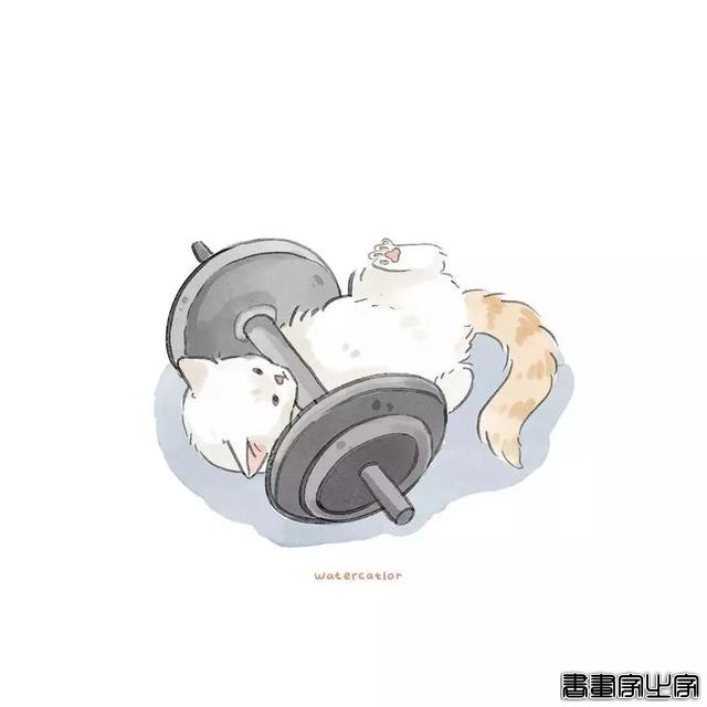正经“猫片”，笑到喷饭，插画师笔下的猫咪迷惑行为，憨憨的-40.jpg