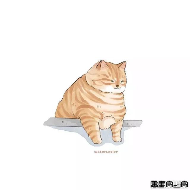 正经“猫片”，笑到喷饭，插画师笔下的猫咪迷惑行为，憨憨的-38.jpg