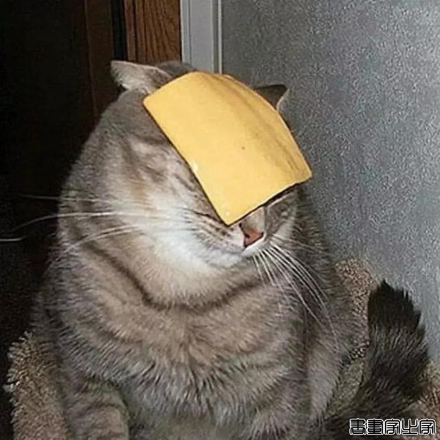 正经“猫片”，笑到喷饭，插画师笔下的猫咪迷惑行为，憨憨的-43.jpg