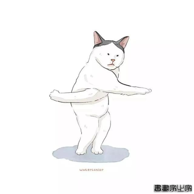 正经“猫片”，笑到喷饭，插画师笔下的猫咪迷惑行为，憨憨的-44.jpg
