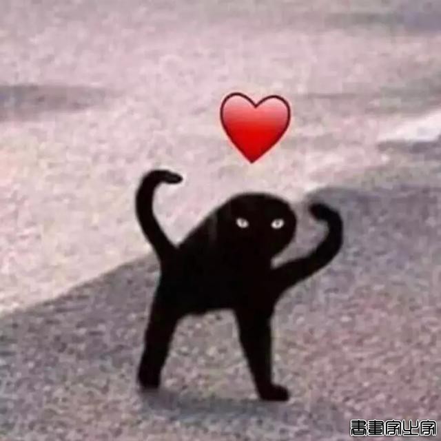 正经“猫片”，笑到喷饭，插画师笔下的猫咪迷惑行为，憨憨的-49.jpg