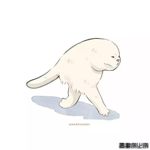 正经“猫片”，笑到喷饭，插画师笔下的猫咪迷惑行为，憨憨的-54.jpg