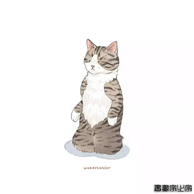 正经“猫片”，笑到喷饭，插画师笔下的猫咪迷惑行为，憨憨的-50.jpg
