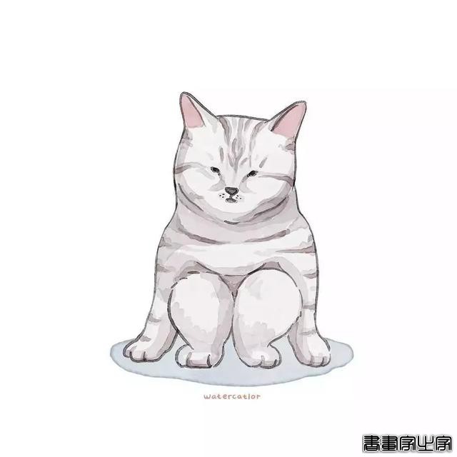 正经“猫片”，笑到喷饭，插画师笔下的猫咪迷惑行为，憨憨的-52.jpg