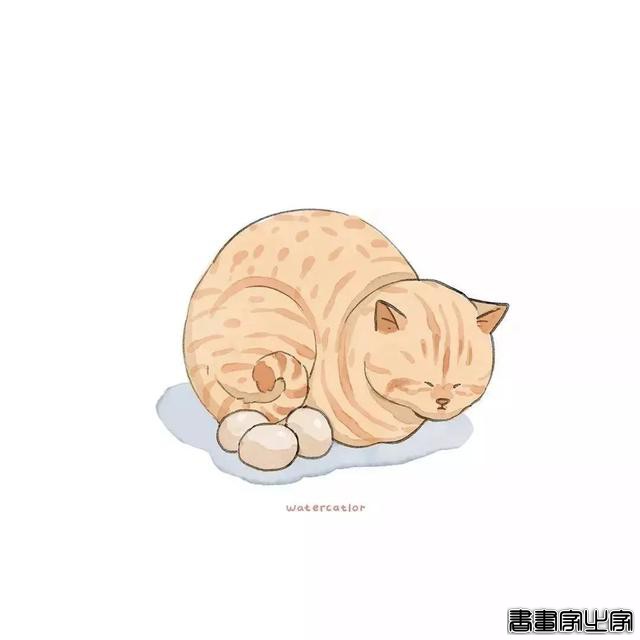 正经“猫片”，笑到喷饭，插画师笔下的猫咪迷惑行为，憨憨的-58.jpg