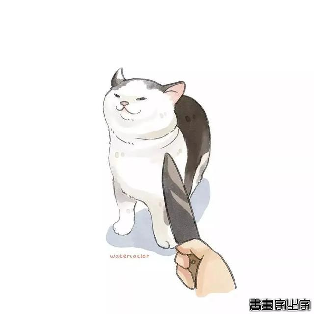 正经“猫片”，笑到喷饭，插画师笔下的猫咪迷惑行为，憨憨的-62.jpg