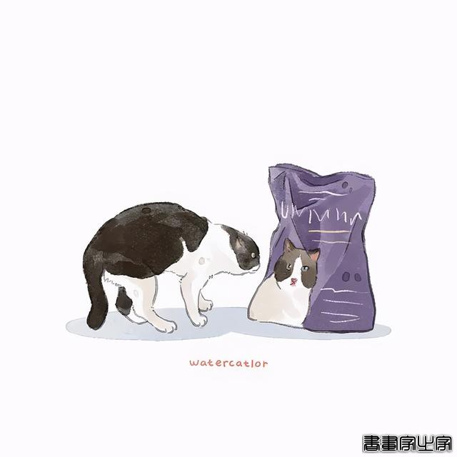 正经“猫片”，笑到喷饭，插画师笔下的猫咪迷惑行为，憨憨的-80.jpg