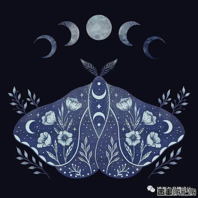 插画丨百变魔法大师，她将黑色夜空点缀出五彩斑斓的美-6.jpg