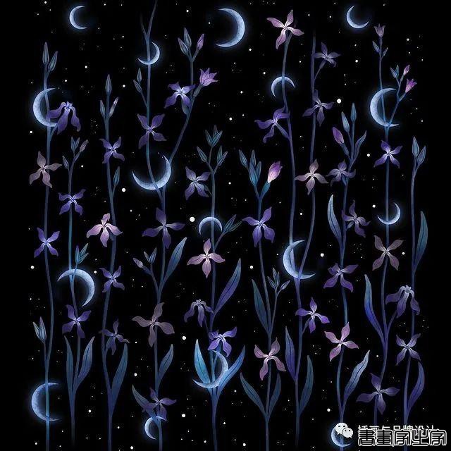 插画丨百变魔法大师，她将黑色夜空点缀出五彩斑斓的美-16.jpg