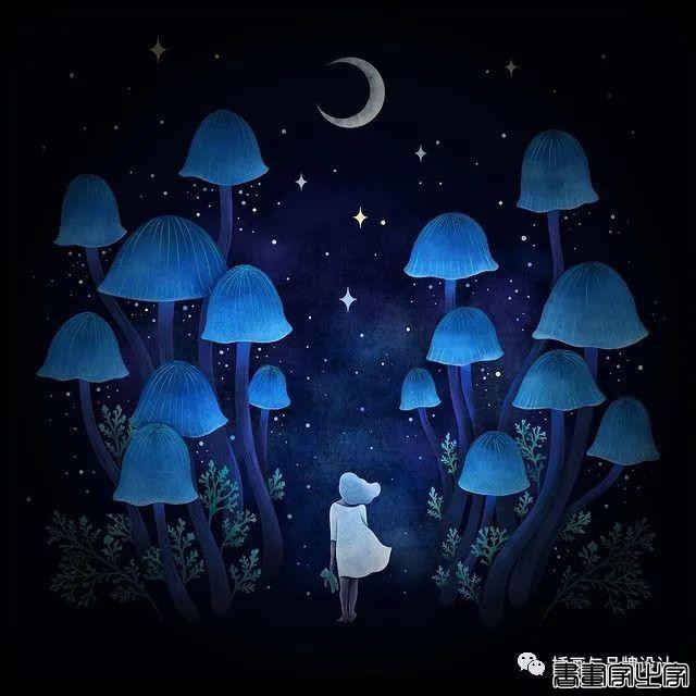 插画丨百变魔法大师，她将黑色夜空点缀出五彩斑斓的美-19.jpg