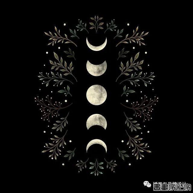 插画丨百变魔法大师，她将黑色夜空点缀出五彩斑斓的美-33.jpg