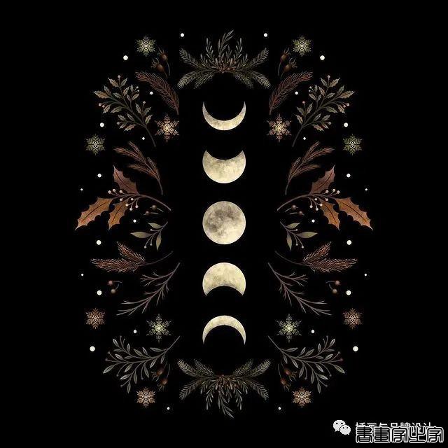 插画丨百变魔法大师，她将黑色夜空点缀出五彩斑斓的美-31.jpg