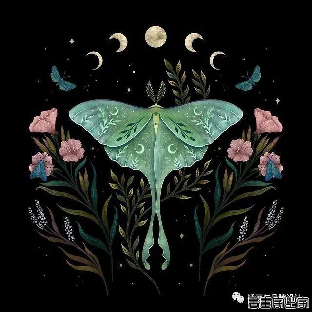 插画丨百变魔法大师，她将黑色夜空点缀出五彩斑斓的美-35.jpg