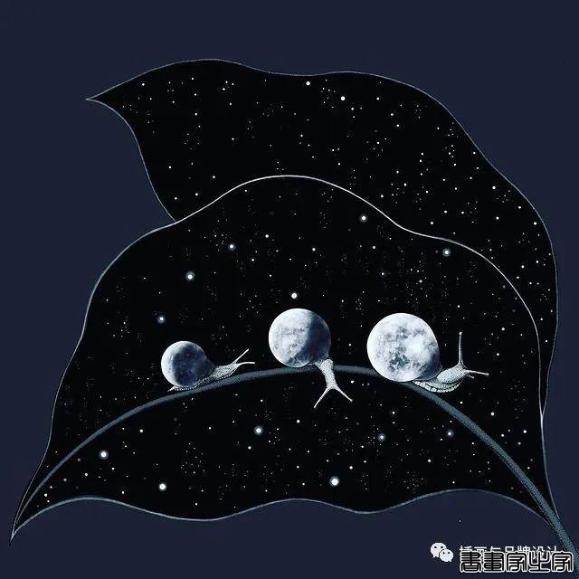 插画丨百变魔法大师，她将黑色夜空点缀出五彩斑斓的美-39.jpg