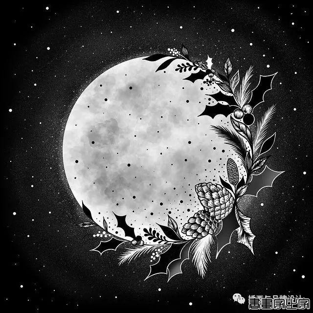 插画丨百变魔法大师，她将黑色夜空点缀出五彩斑斓的美-49.jpg