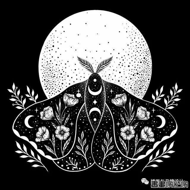 插画丨百变魔法大师，她将黑色夜空点缀出五彩斑斓的美-52.jpg