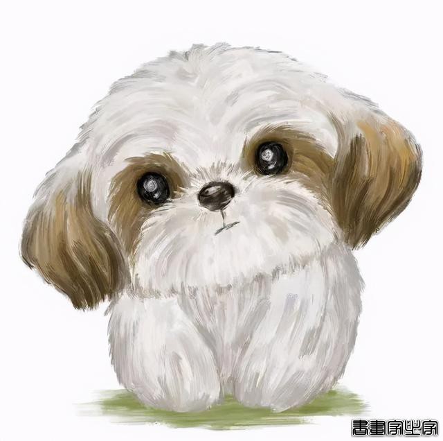 这么可爱的插画，送你拿去做头像吧-6.jpg